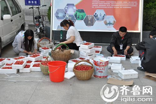 樱桃销售火爆(资料图)